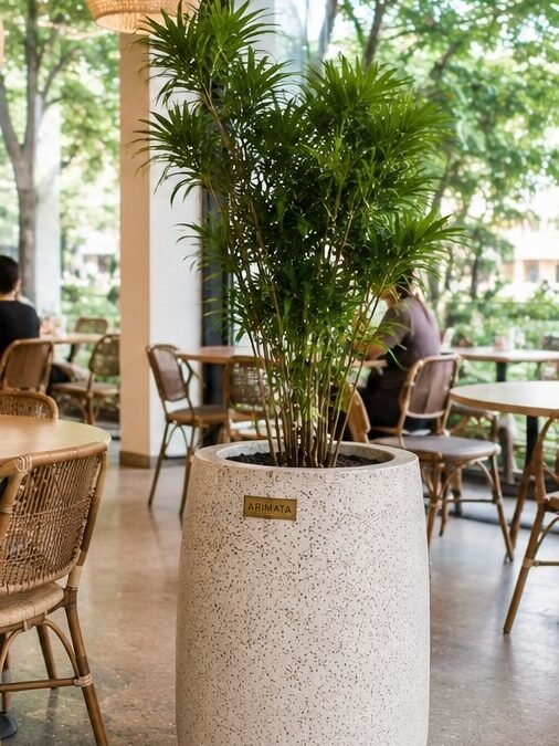 Pot Teraso Cafe
