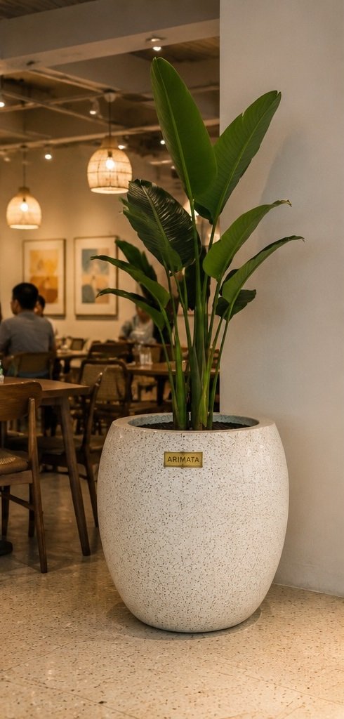 pot teraso di cafe