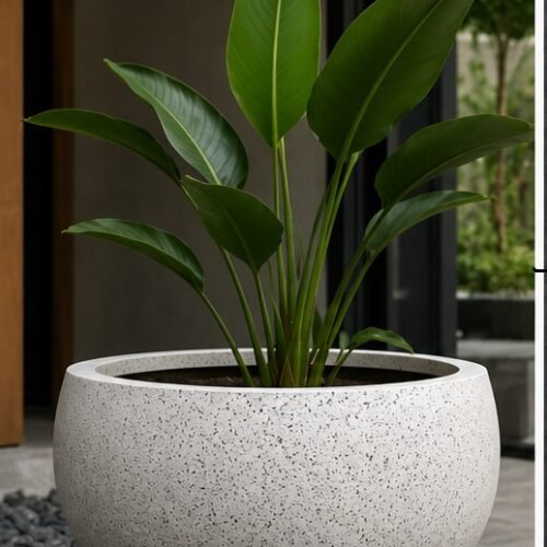 pot teraso modern
