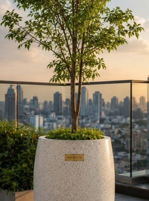 Pot Teraso Untuk Rooftop Garden