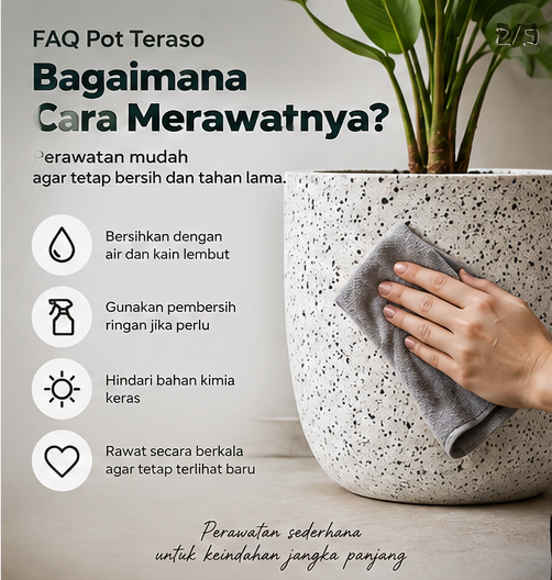 bagaimana cara merawat pot teraso